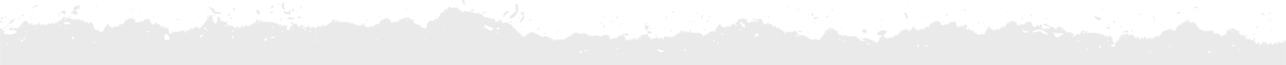 web-image-seperator-grey