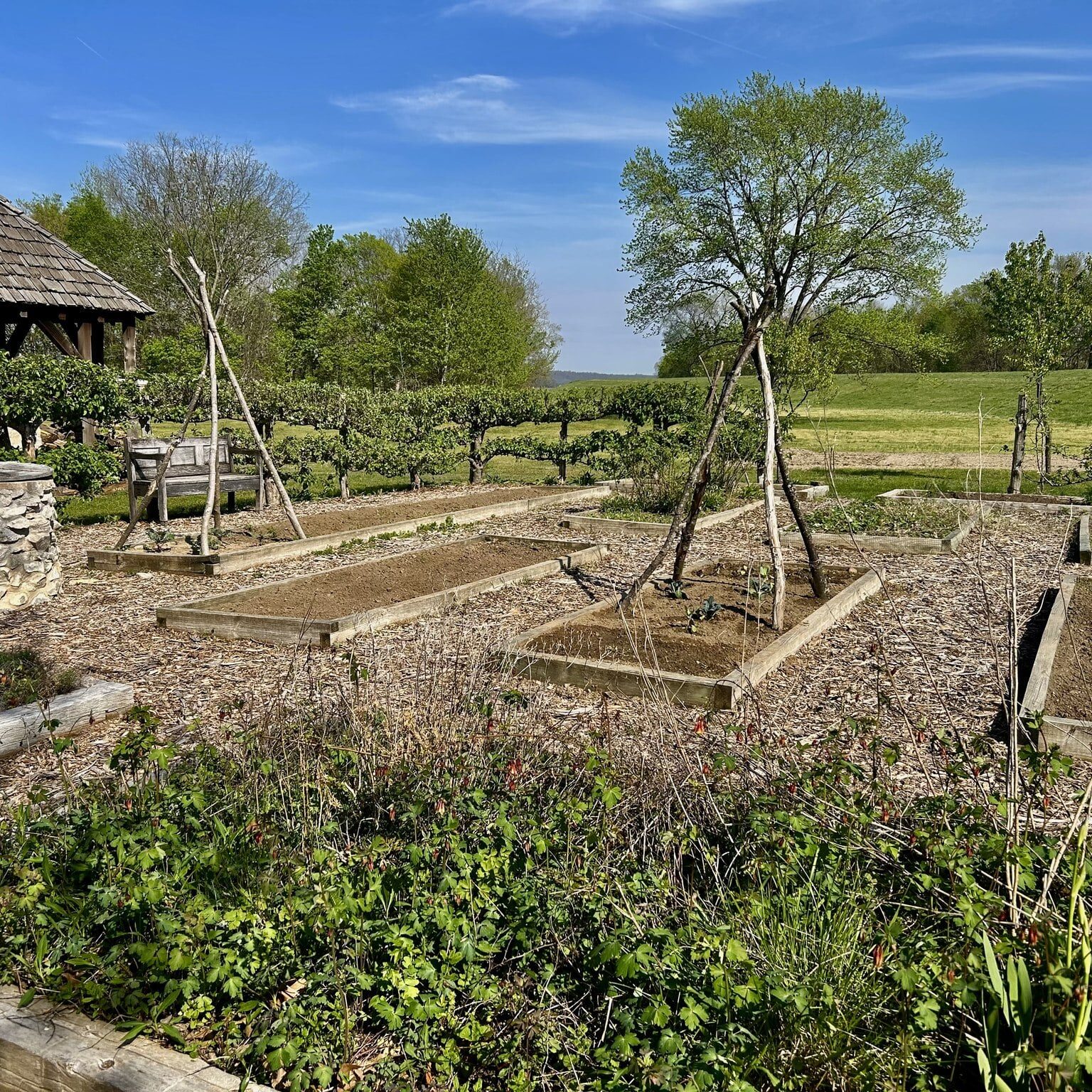 672677175_974994091744572_4837450866914013221_n